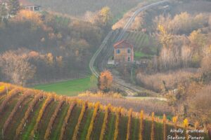 Le Langhe - panorama